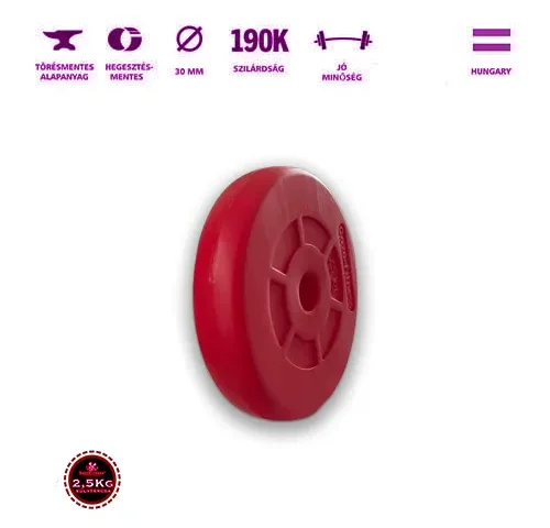 2,5 kg-os fekete súlytárcsa 31 mm belső átmérővel – GazoFitness márkájú edzőtermi súlytárcsa