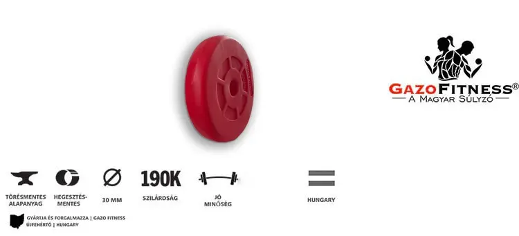2,5 kg GazoFitness súlytárcsa – prémium minőség edzéshez 2,5 kg-os fekete súlytárcsa 31 mm belső átmérővel – GazoFitness márkájú edzőtermi súlytárcsa