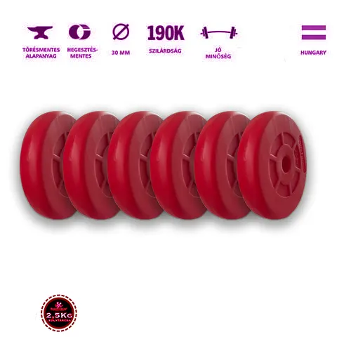 2,5 kg-os fekete súlytárcsa 31 mm belső átmérővel – GazoFitness márkájú edzőtermi súlytárcsa